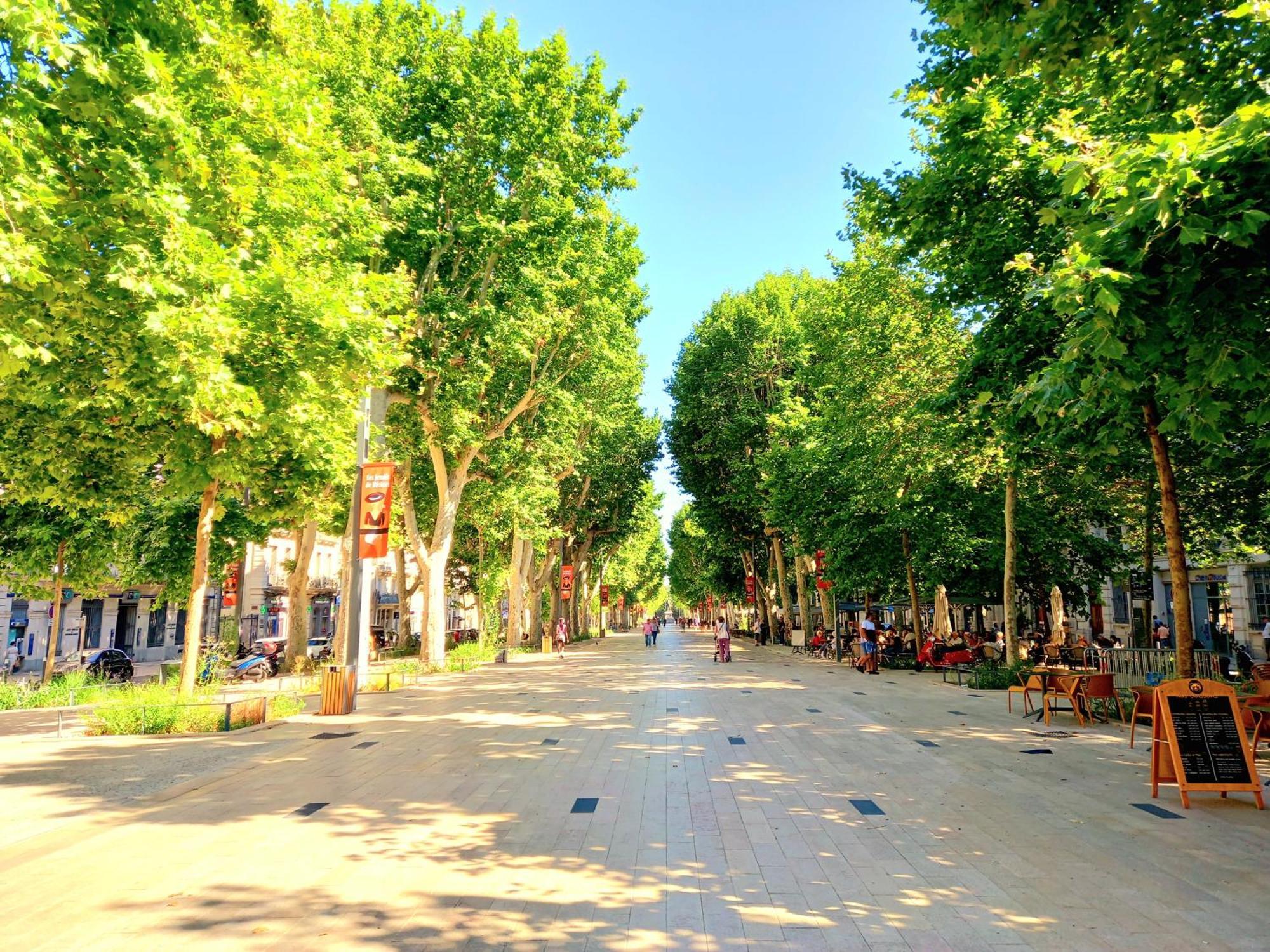 T3 Aqui Es Besiers - Centre-Historique - Cathedrale & Halles - Clim - Wifi - Free Parking Sur Demande Безие Екстериор снимка